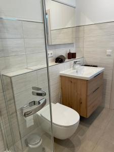a bathroom with a toilet and a sink at Ferienwohnung Am Wall in Radeberg