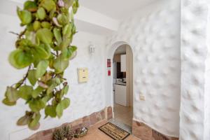 a hallway in a house with a plant at Casa Weimar in Costa Calma