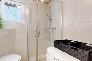 a bathroom with a shower and a toilet at Ferienwohnung Am Brunnen in Durbach +15 photos