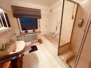 a bathroom with a shower and a toilet and a sink at Ferienwohnung Bienenkorb in Selb