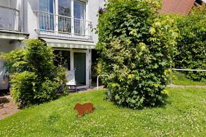 a house with a yard with a dog in the grass at Ferienwohnung an der Dönche in Kassel