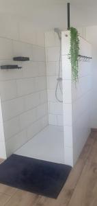 a white tiled shower with a plant on the wall at Lieblingsgast in Klötze +24 photos