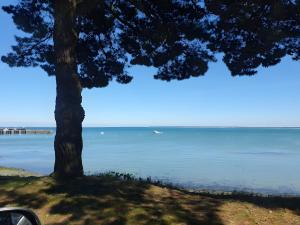 a tree sitting next to a body of water at Chambre Chanteloup in Mont-Dol
