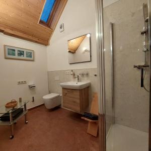 a bathroom with a sink and a toilet and a shower at Birkenhof Pließkowitz in Malschwitz