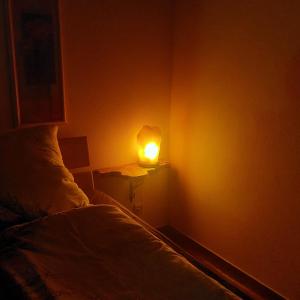 a small room with a bed and a light on the wall at Birkenhof Pließkowitz in Malschwitz