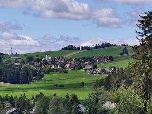 a green hillside with houses in a green field at Biobetrieb Lippenhof in Breitnau