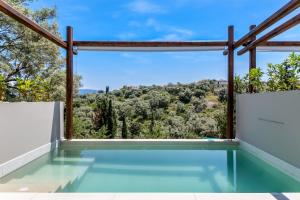 a pool with a view from a house at Studio Yvonne in Meganisi +13 photos