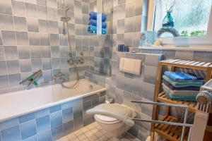 a blue tiled bathroom with a toilet and a shower at Appartement Böhler 2 in Reichenau +22 photos