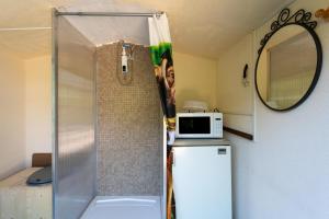 a small kitchen with a refrigerator and a microwave at Cocoon insolite in Pernes-les-Fontaines