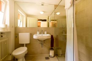 a bathroom with a toilet and a sink and a shower at Schlierseehaus in Schliersee +20 photos