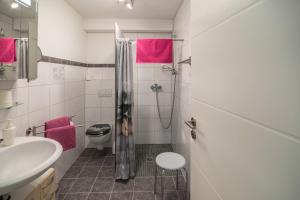 a bathroom with a shower and a sink and a toilet at Haus Ruther - Wohnung 1 in Bad Saulgau