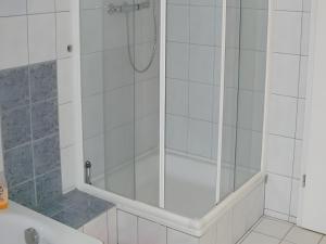 a shower with a glass door in a bathroom at Ferienwohnung Sonnenblick in Eisenbach