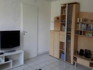 a living room with a tv and book shelves at Ferienwohnung Sonnenblick in Eisenbach