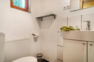 a small bathroom with a toilet and a sink at Balzerberg in Weiler-Simmerberg +23 photos