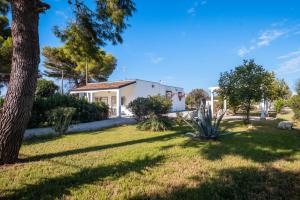 a house with a palm tree in a yard at Villa Aurea Retreat Lux in Porto Cesareo