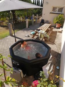 a man in a bath tub in a tv at Gîte À La Campagne in Bourdeaux +6 photos