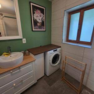 a bathroom with a washing machine and a sink at Juaniz in Tolmin