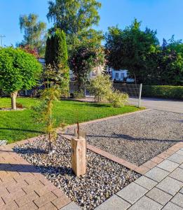 a small tree in the middle of a park at Haus Auryn in Markelfingen +17 photos