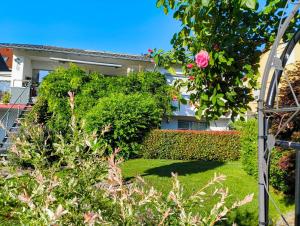 a house with a green hedge and a pink rose at Haus Auryn in Markelfingen
