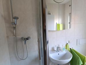 a bathroom with a shower and a sink and a shower at Zirbelkiefer 8 in Bad Klosterlausnitz