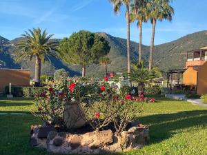 a garden with palm trees and flowers in a yard at Vue Mer Et Jardin in Théoule-sur-Mer +8 photos