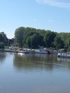 a group of boats are docked in a river at Duplex charmant centre Joigny - C1 in Joigny +4 photos
