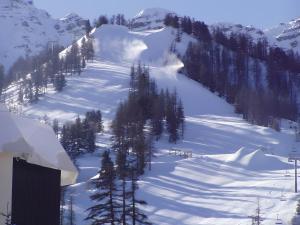 a snow covered slope with trees on a mountain at Studio Fontanarosa centre station in Vars
