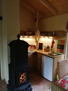a kitchen with a stove in the middle of a kitchen at Jagdhaus Franz in Krahne