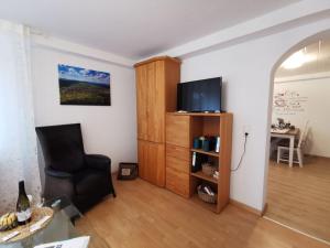 a living room with a chair and a television at Ferienwohnung Hogh, 55qm, Terrasse in Beuren