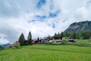 a large green field with houses in the mountains at Dolomites Chalet Pian in Campitello di Fassa