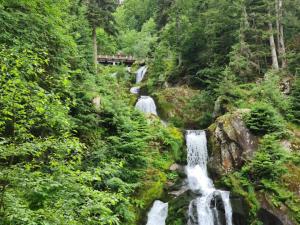 a waterfall in a forest with people on a bridge at Haus am Bächel in Lauf