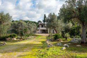 a house in the middle of a garden at Casa Cenate in Nardò