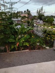 a garden with plants and flowers on a street at Desirella Villa APARTMENT in Mahébourg
