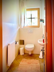 a small bathroom with a toilet and a sink at Haus Rosenheim in Ramsau am Dachstein +15 photos