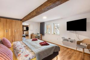 a bedroom with a bed and a flat screen tv at Ferienhaus Mittendrin in Jesberg