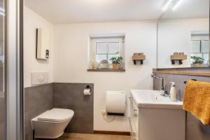 a bathroom with a toilet and a sink at Ferienhaus Mittendrin in Jesberg +19 photos