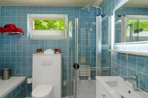 a blue tiled bathroom with a shower and a sink at Harzblick am Waldesrand in Hahausen +24 photos