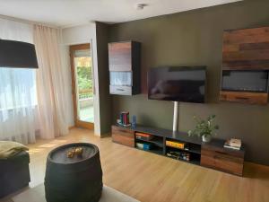 a living room with a flat screen tv on the wall at Komfort trifft Natur in Albbruck