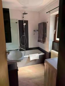 a bathroom with a sink and a tub and a shower at Komfort trifft Natur in Albbruck +14 photos