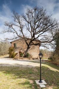 a lamp in front of a stone building with a tree at Podere Villa Rosa Torrita di Siena in Torrita di Siena