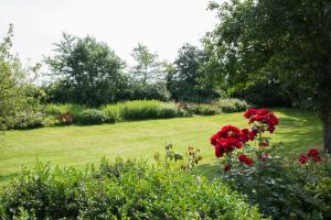 ein Garten mit roten Blumen auf einem grünen Feld in der Unterkunft Waldhusenwarft in Pellworm