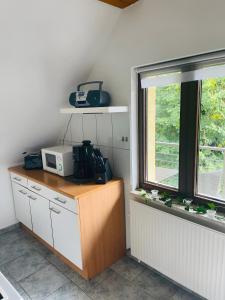 a kitchen with a microwave on a counter next to a window at Ferienwohnung Gaßmann in Wingerode