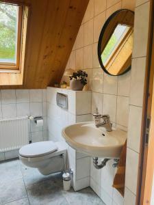 a bathroom with a sink and a toilet and a mirror at Ferienwohnung Gaßmann in Wingerode