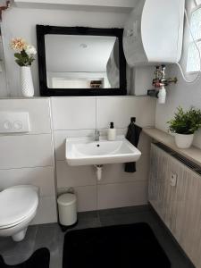 a bathroom with a sink and a toilet and a mirror at Rosenhaus in Merchweiler +8 photos