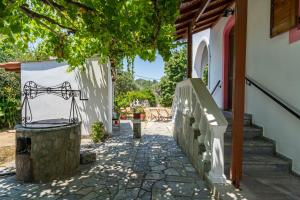 a stone walkway leading to a house with a tree at House Theodora holidays Greece in Dragotiná