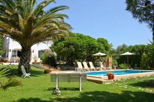 a swimming pool with a bench and a palm tree at Las Tórtolas in Alaior