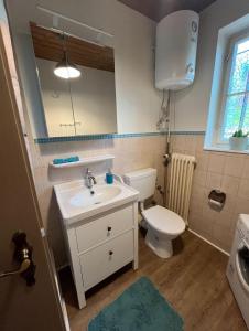 a bathroom with a sink and a toilet and a mirror at Ferienwohnung Modelshauser Mühle in Hinterbuch +15 photos