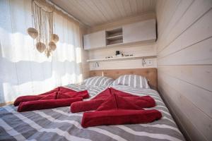 a bed with red pillows on it in a room at Wohlfühl-Hausboot Elements Woma D13 in Fürstenberg