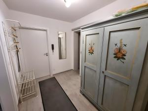 a hallway with two doors and a rug at Ferienwohnung Rheinnähe in Bad Säckingen +2 photos
