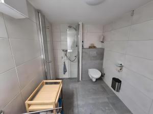 a bathroom with a shower and a toilet in it at Ferienwohnung Rheinnähe in Bad Säckingen